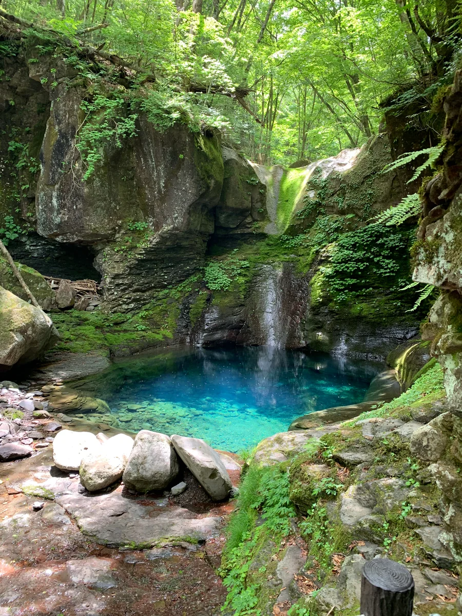 morninglightさんの投稿写真