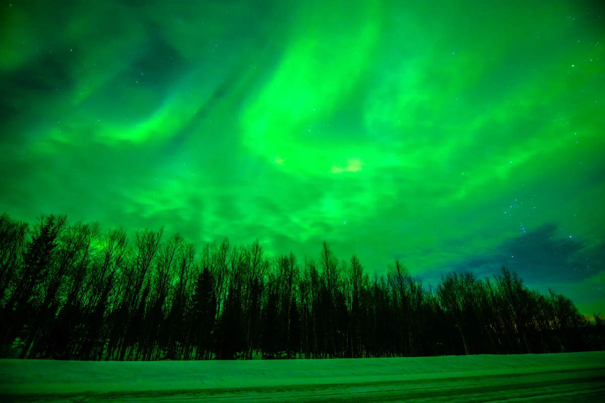 めろんぱんさんの投稿写真