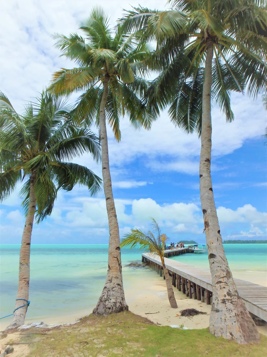 投稿写真：カープ島