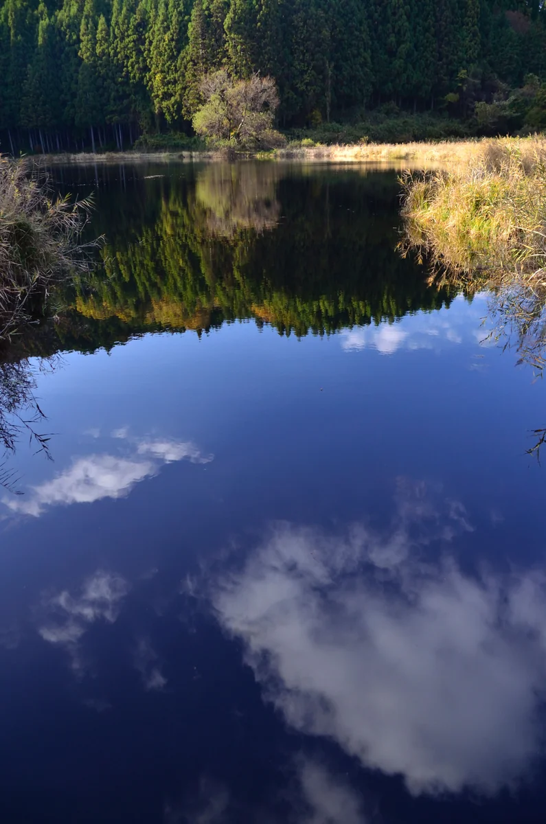 投稿写真：竜王渕　秋の水鏡
