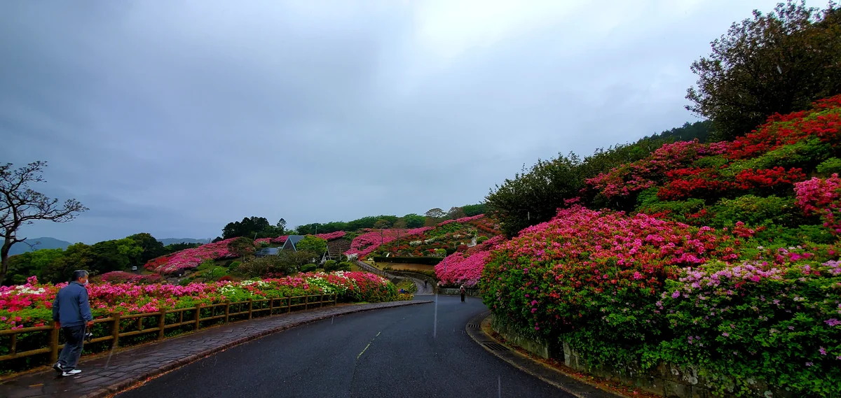 投稿写真：雨が降る長串山