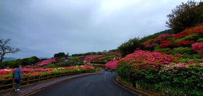  | 絶景事典
