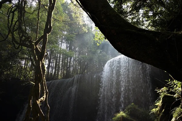 投稿：熊本県阿蘇郡小国町の「鍋ヶ滝」