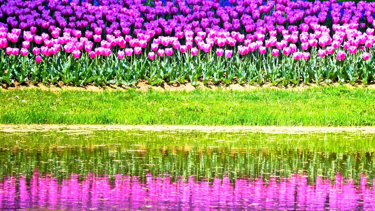 タケノリーニさんの投稿写真