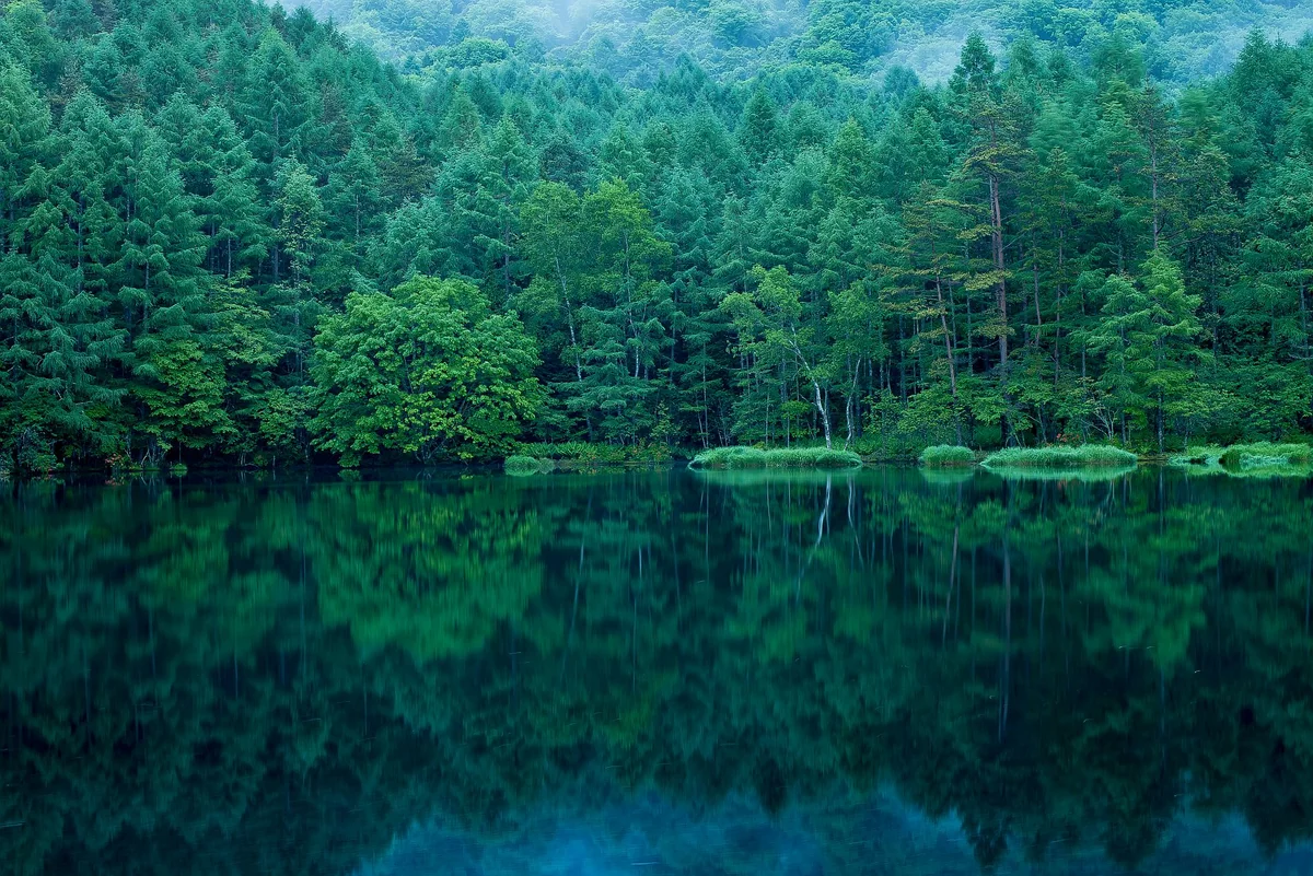 投稿写真：御射鹿池