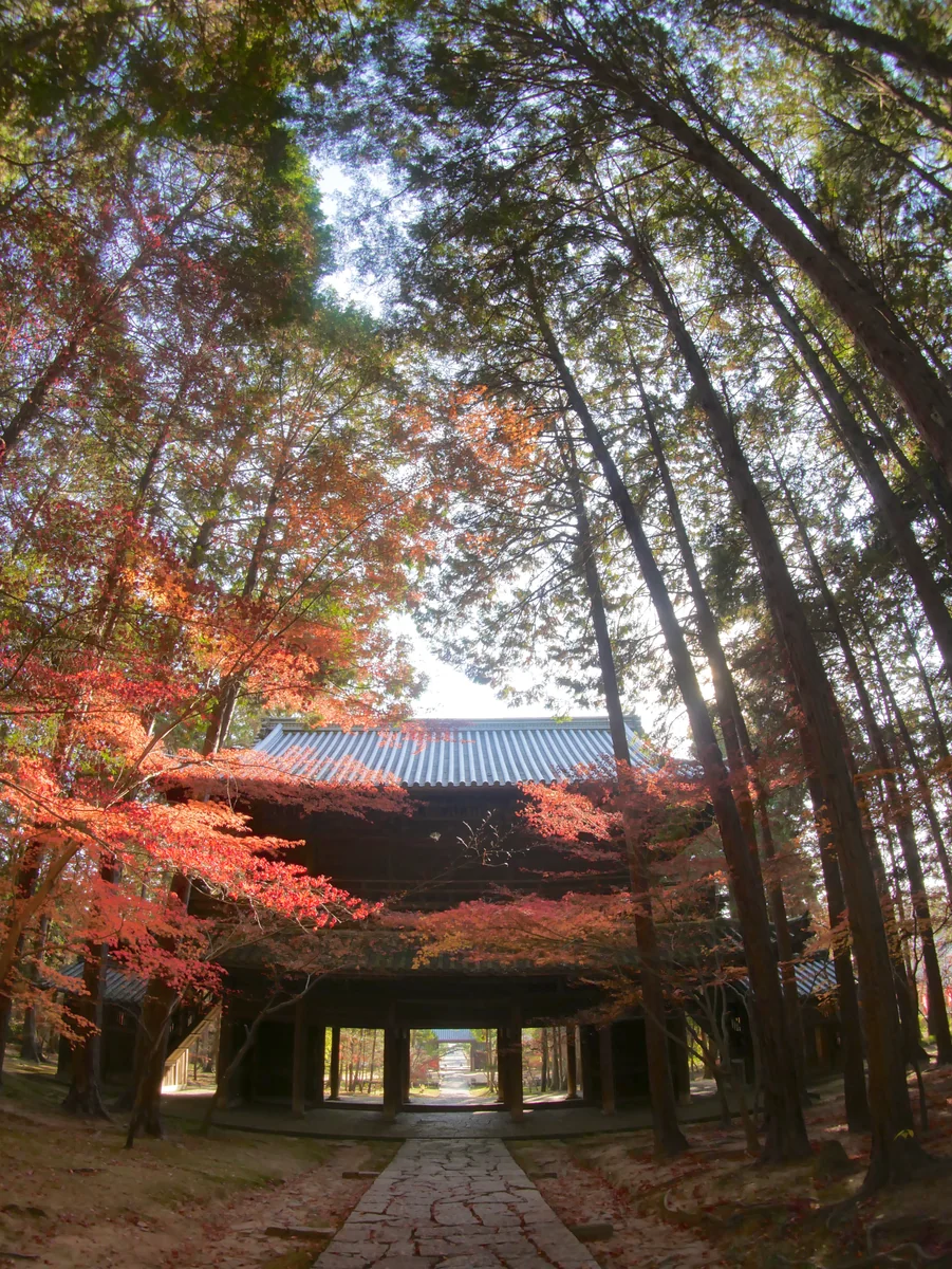 投稿写真：曹源寺