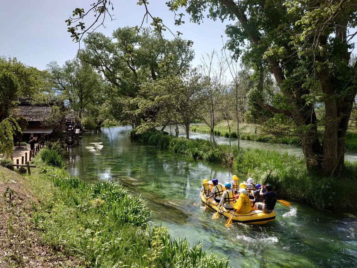 投稿写真：大王わさび農場