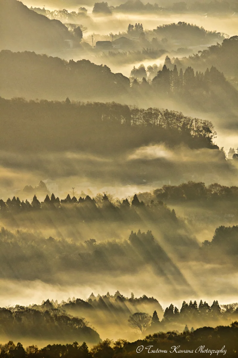 投稿写真：目覚めの光、朝の里に輝けり。