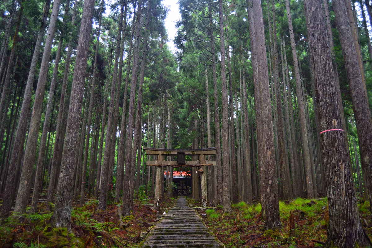 投稿写真：異世界へ