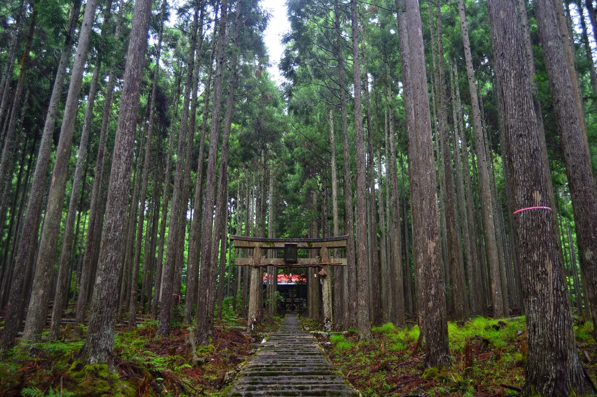 投稿写真：異世界へ