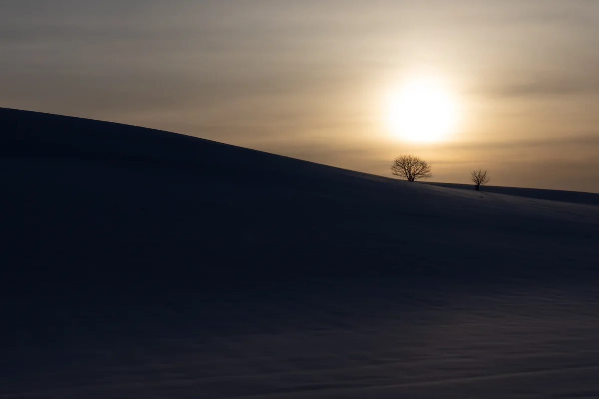 投稿写真：明暗