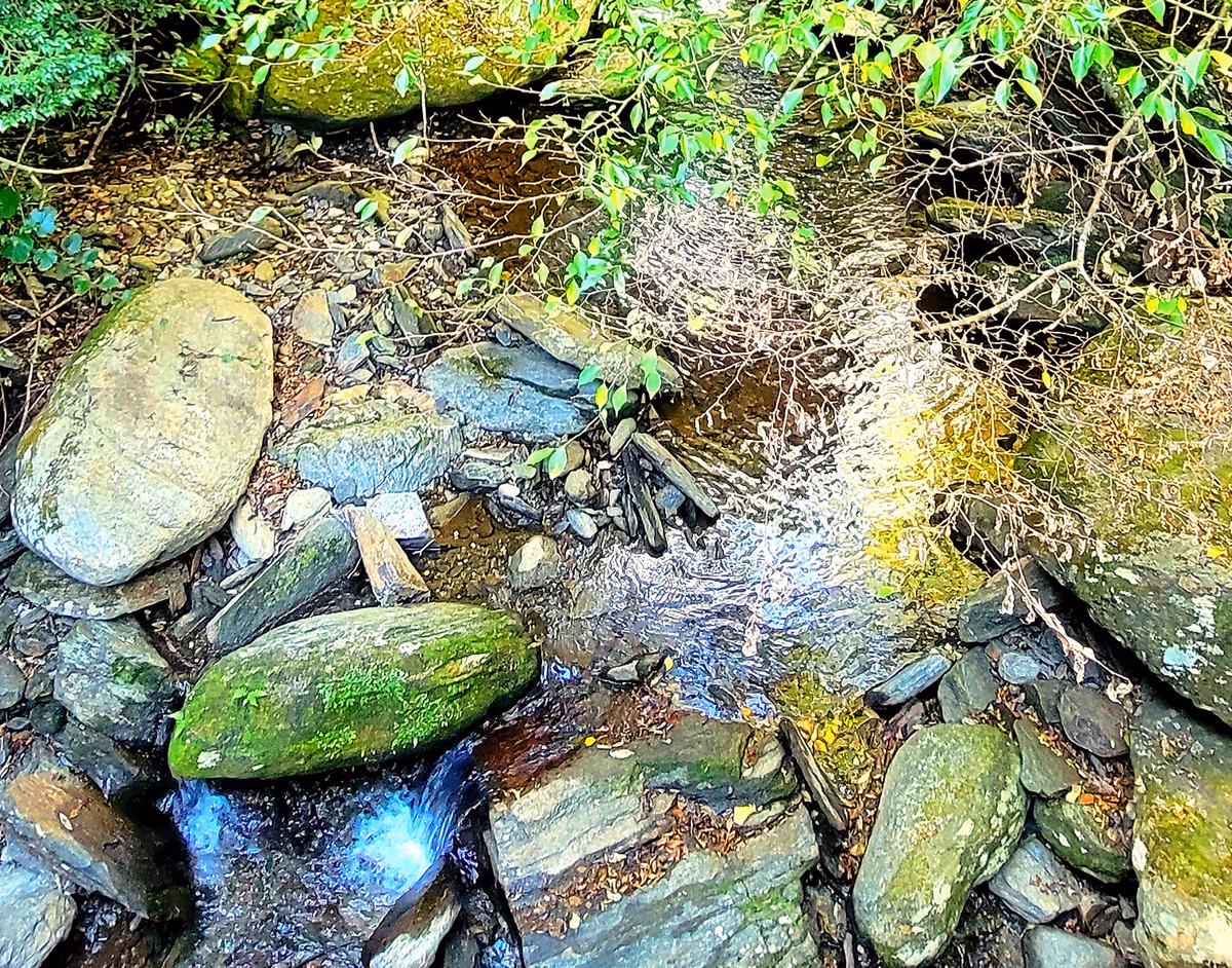 投稿写真：長浦岳の川の起点