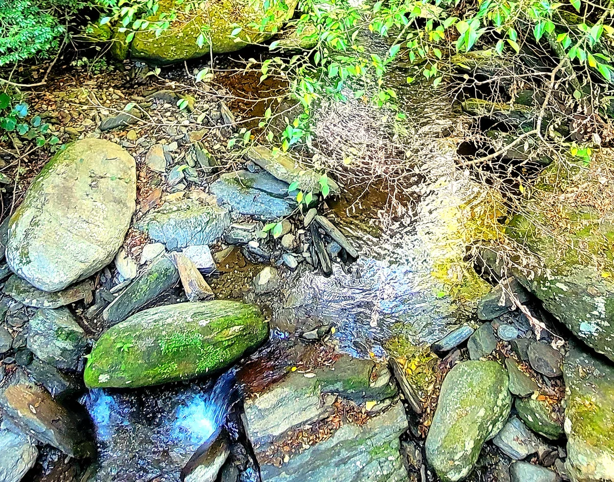 投稿写真：長浦岳の川の起点