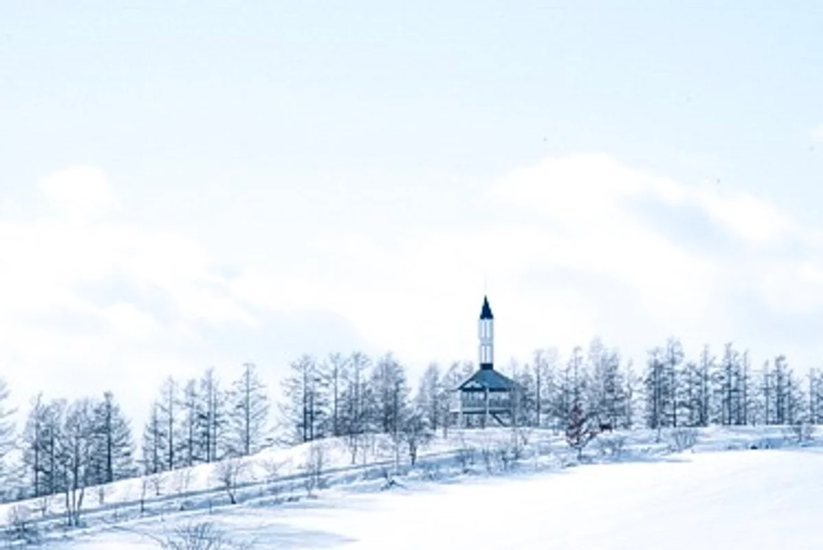 投稿写真：美瑛の丘