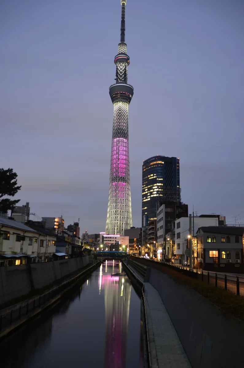 投稿写真：東京スカイツリー　夕暮れ時