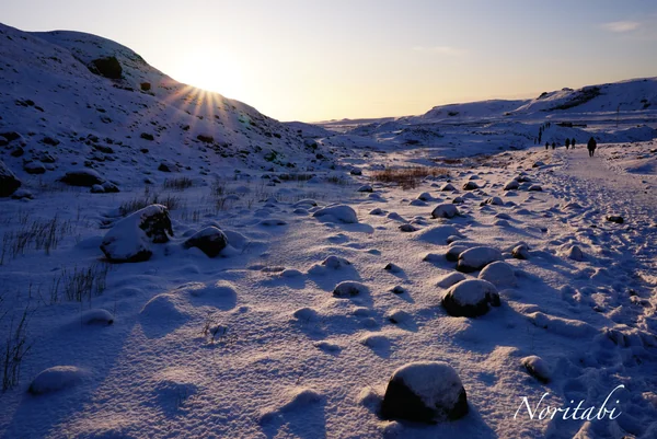 投稿：アイスランド