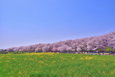  | 絶景事典