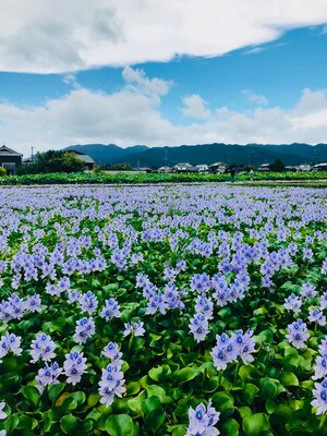  | 絶景事典