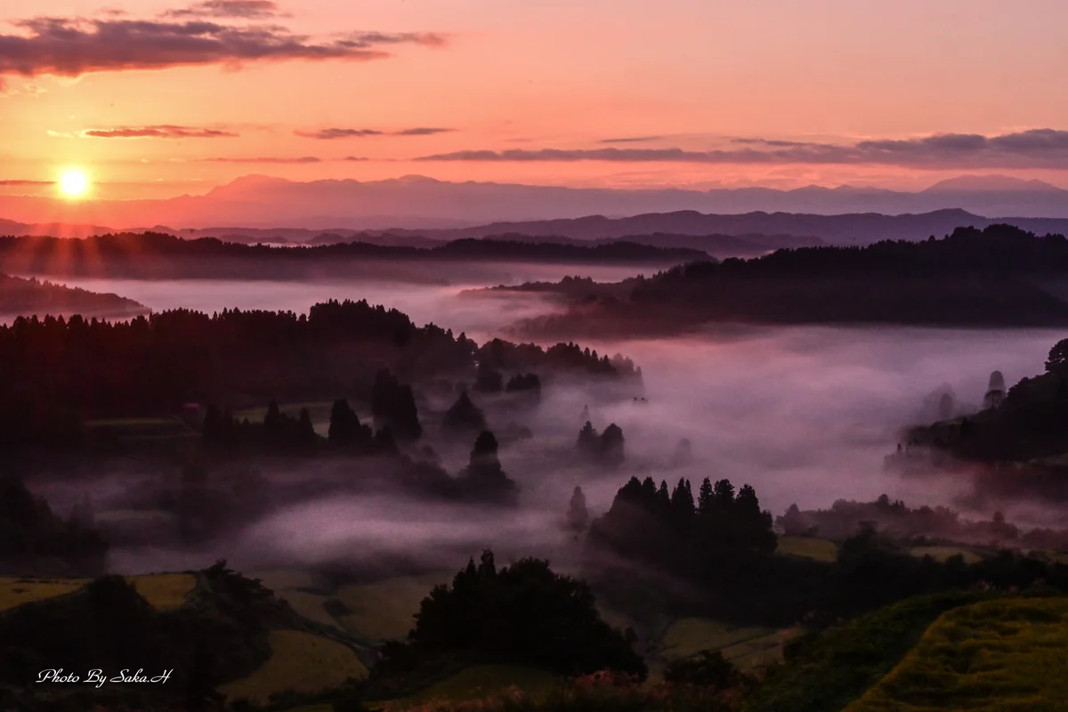 投稿写真：日の出