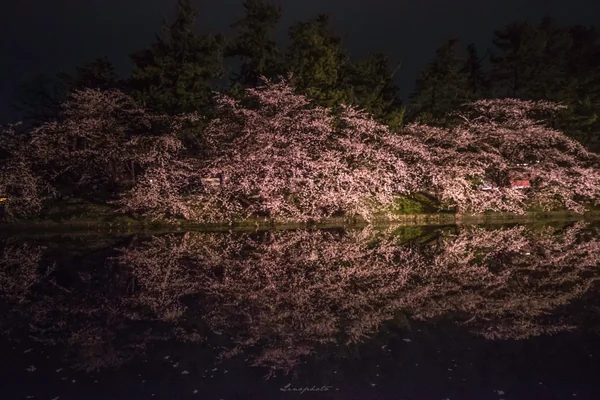 投稿：夜に舞う