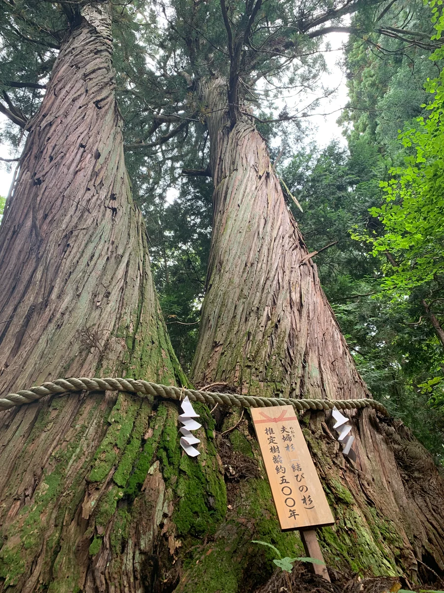 投稿写真：2026年皆様にいいご縁がありますように