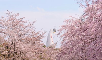  | 絶景事典