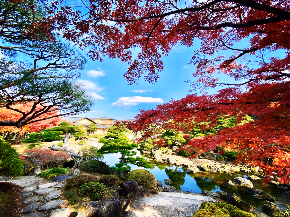 投稿写真：由志園の紅葉