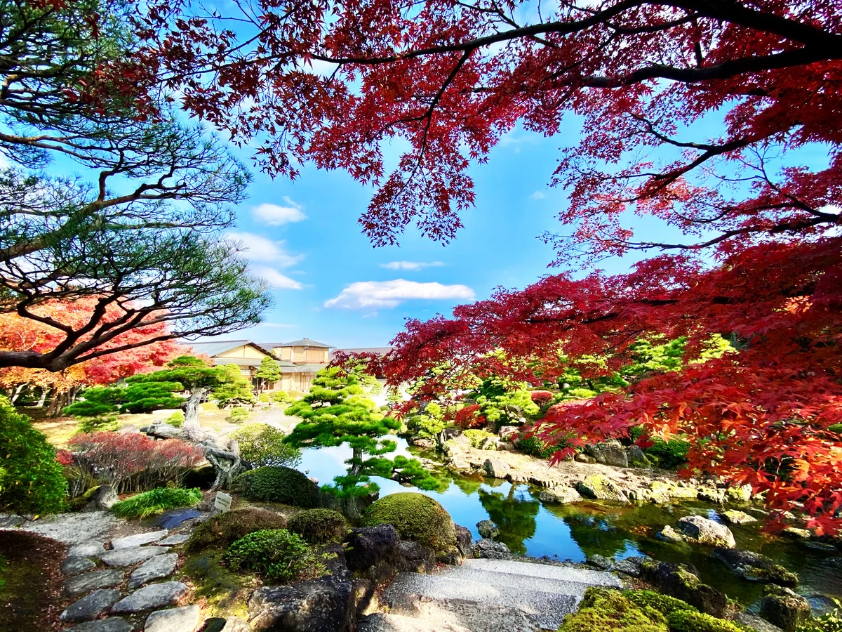 投稿写真：由志園の紅葉