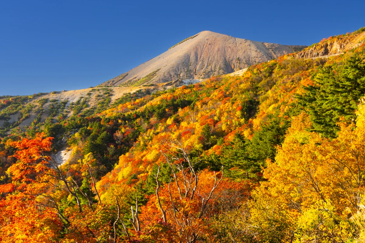 投稿写真：磐梯吾妻スカイライン　天狗の庭付近からの紅葉と吾妻小富士