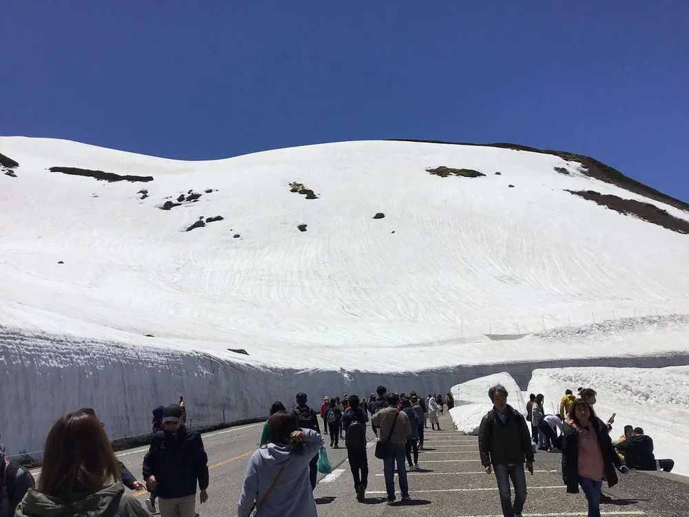 投稿写真：春の大谷
