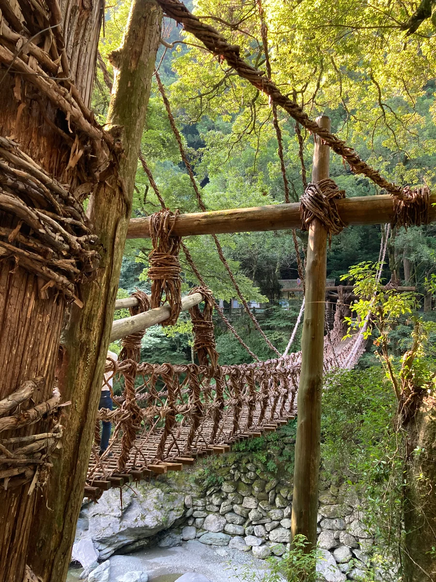 投稿写真：祖谷のかずら橋