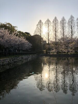  | 絶景事典