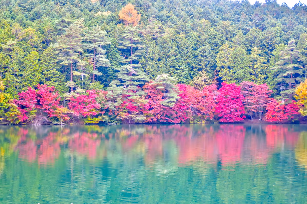 投稿写真：紅葉のリフレクション