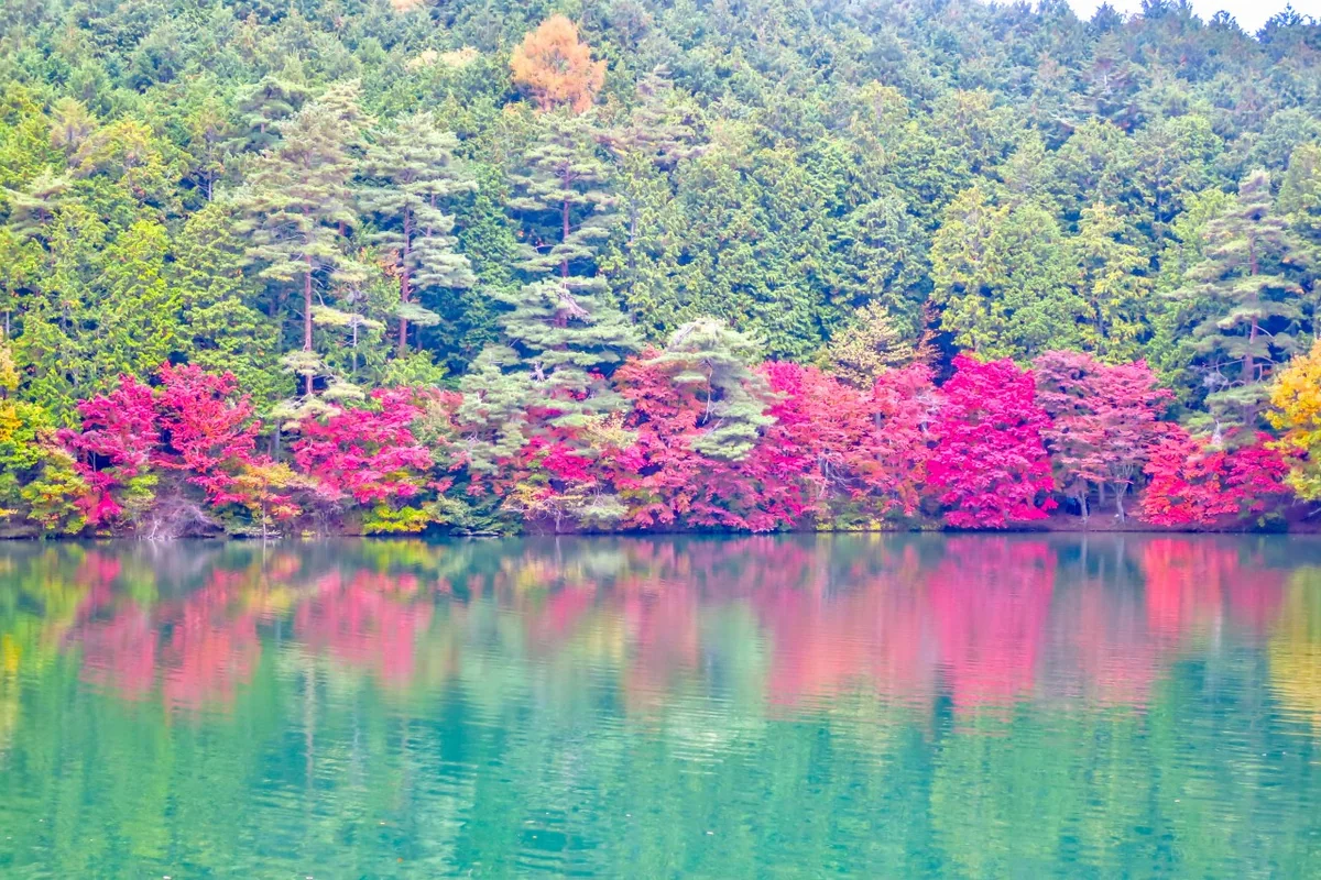 投稿写真：紅葉のリフレクション