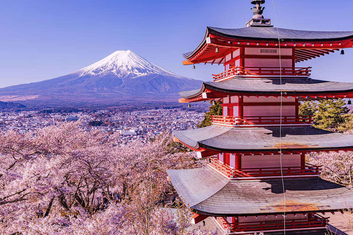 投稿写真：日本の美しさ