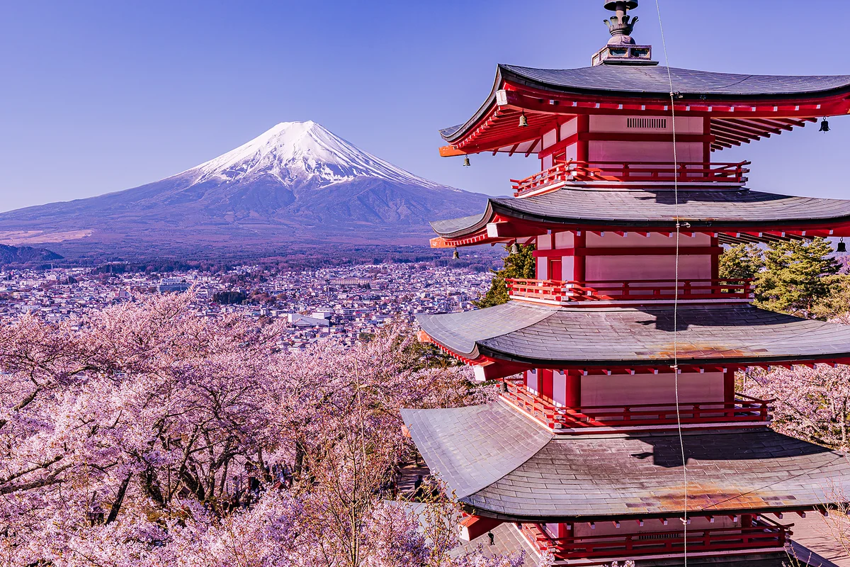 投稿写真：日本の美しさ