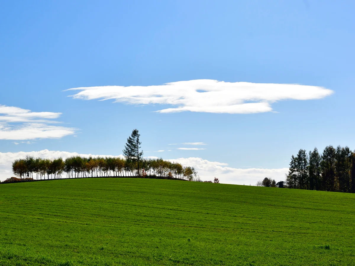 投稿写真：北海道美瑛の秋