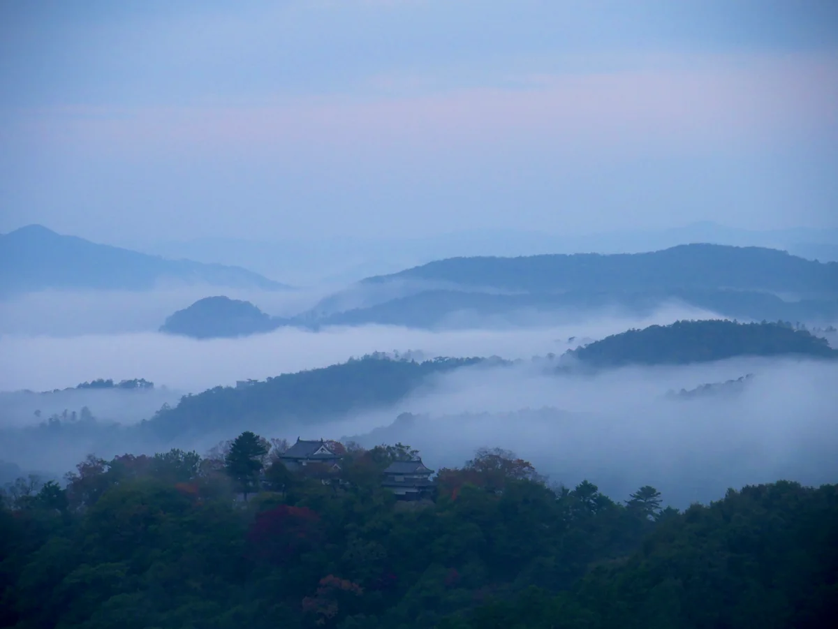 投稿写真：備中松山城