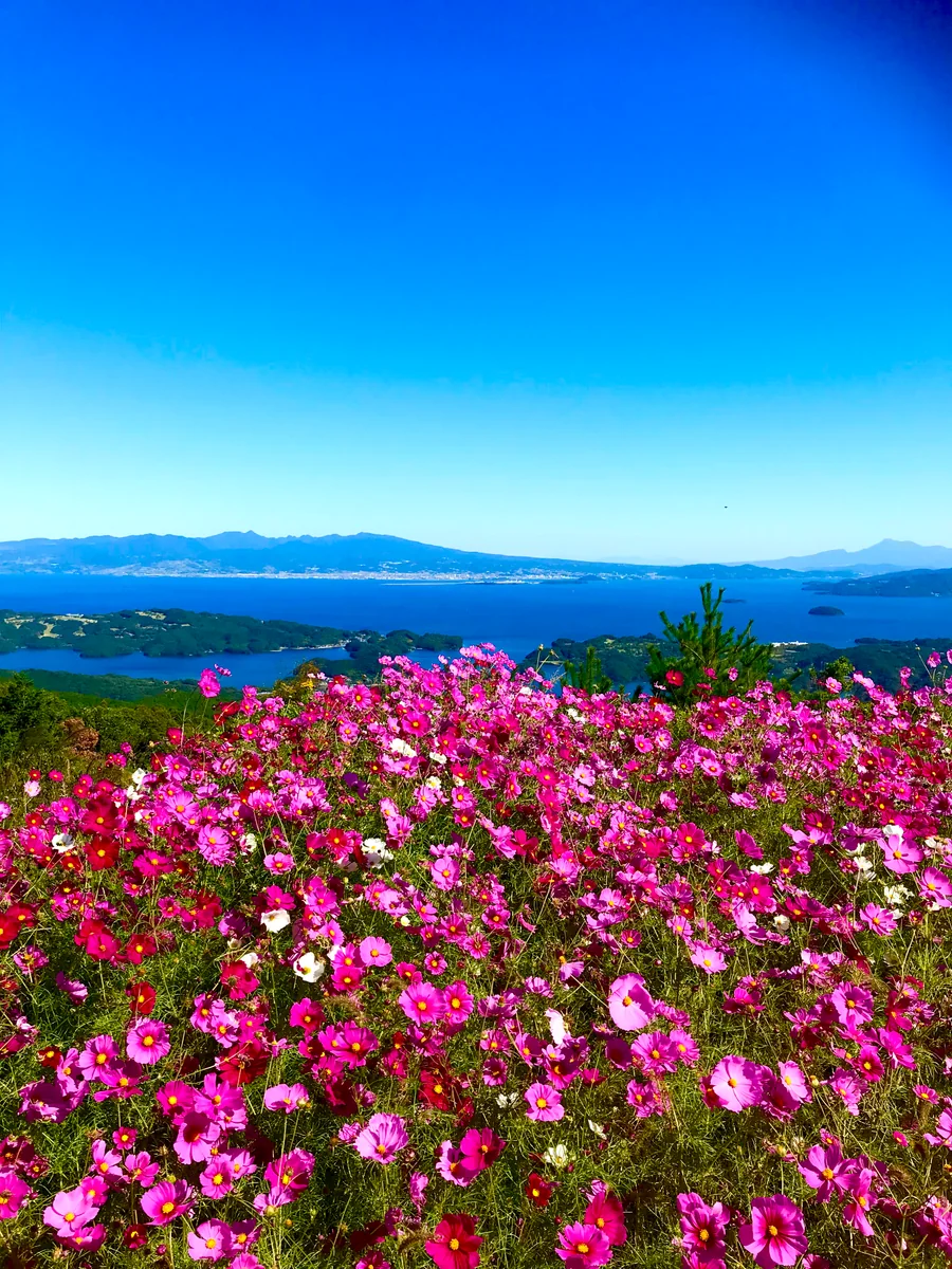 投稿写真：秘密の楽園