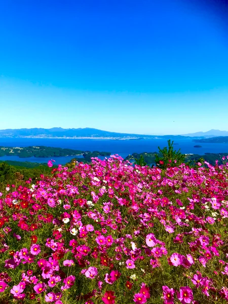 投稿：秘密の楽園