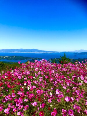 投稿：秘密の楽園