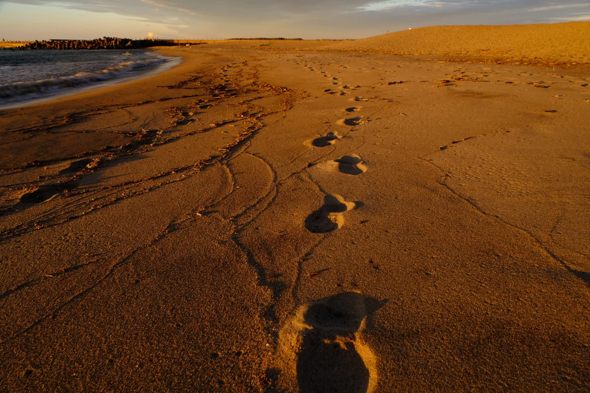 投稿写真：記憶