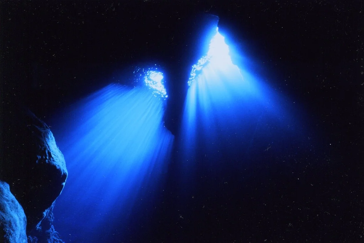 旅する京の酒屋さんさんの投稿写真