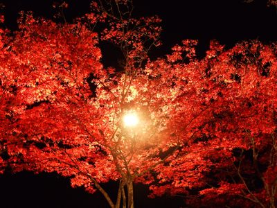  | 絶景事典