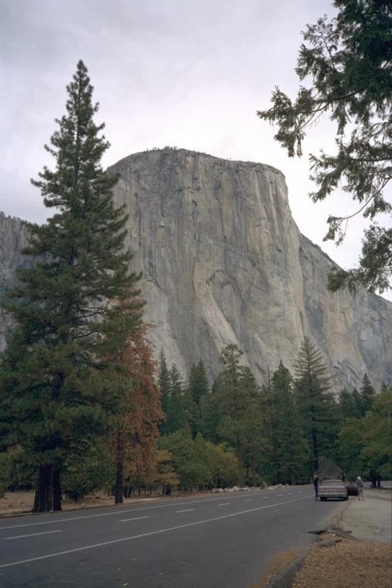 投稿写真：ヨセミテ国立公園内 エル・キャピタン
