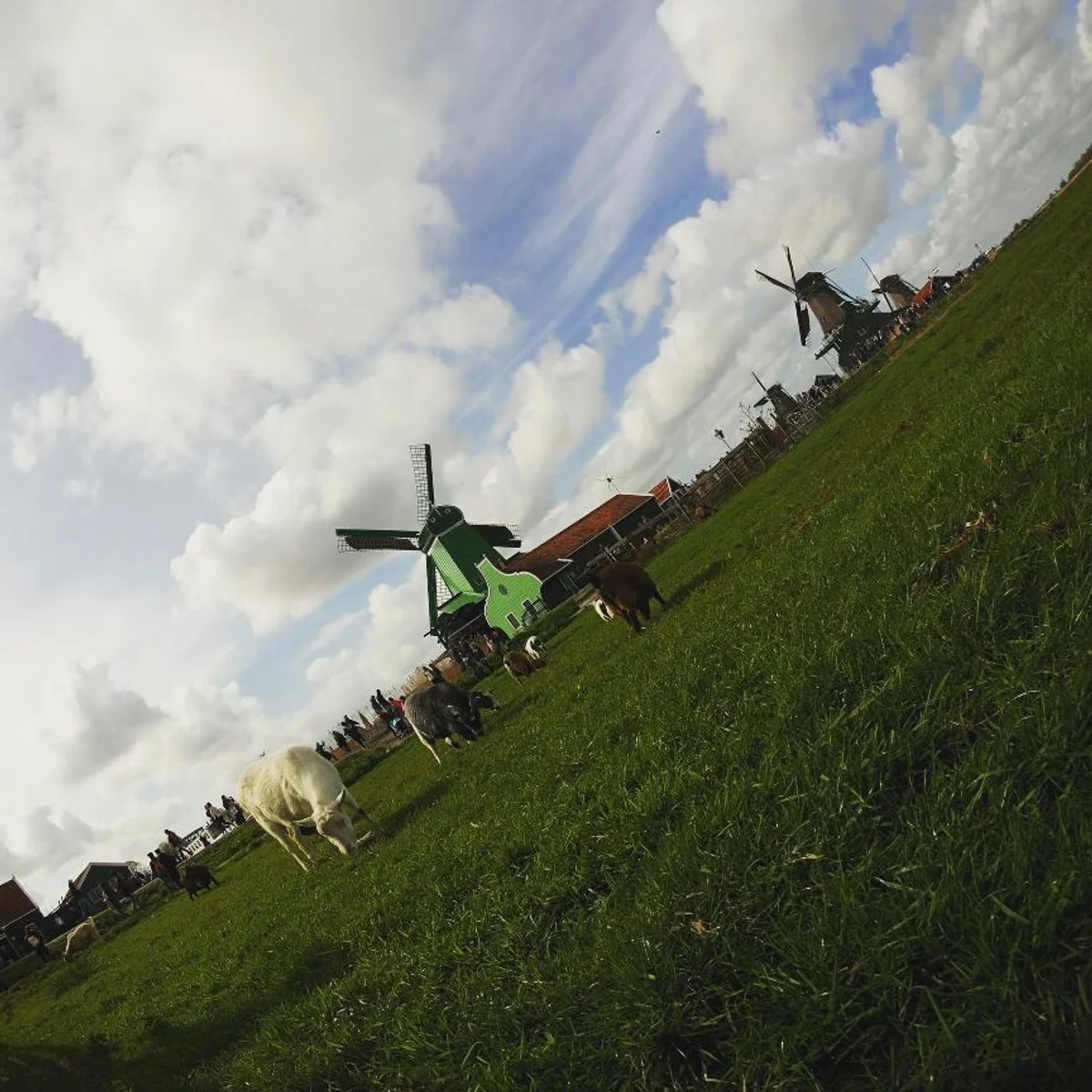 投稿写真：オランダの風車