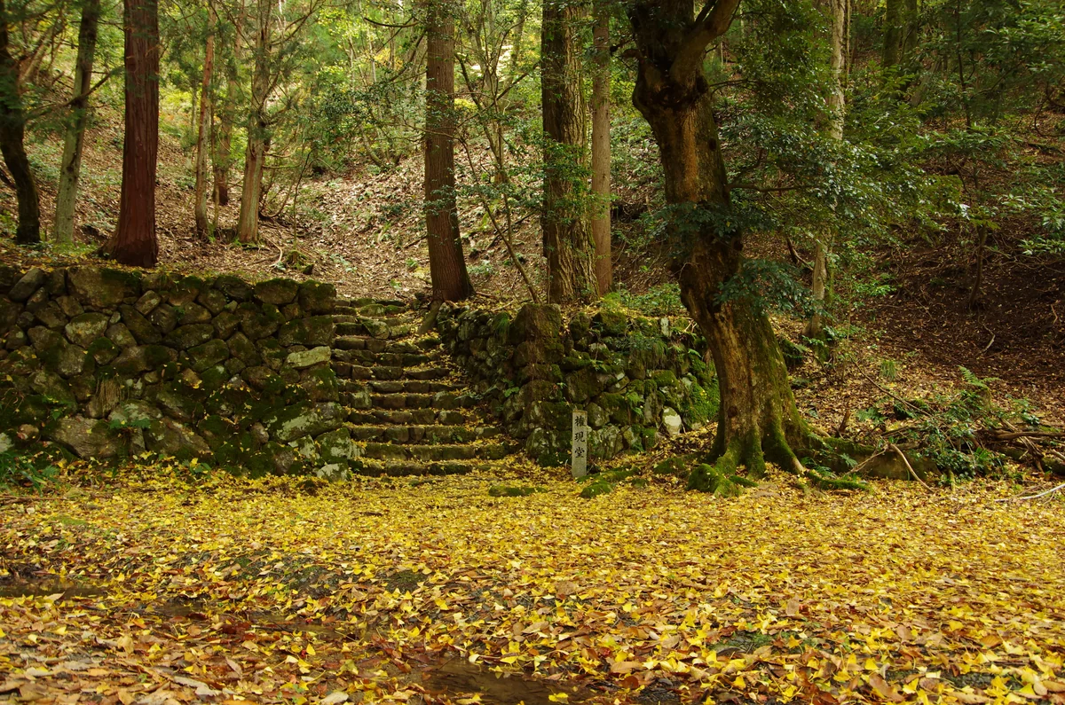 投稿写真：鶏足寺