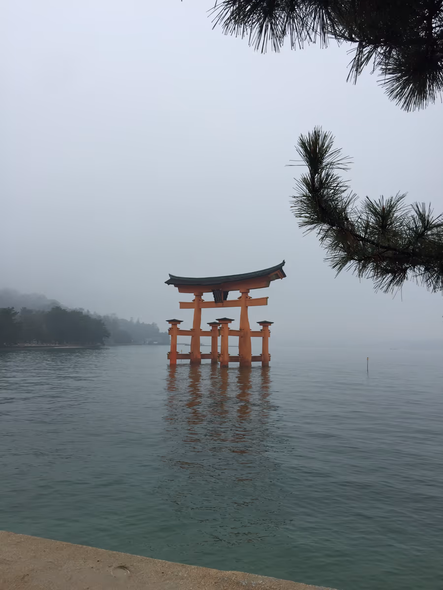 投稿写真：霧の厳島神社神社の鳥居