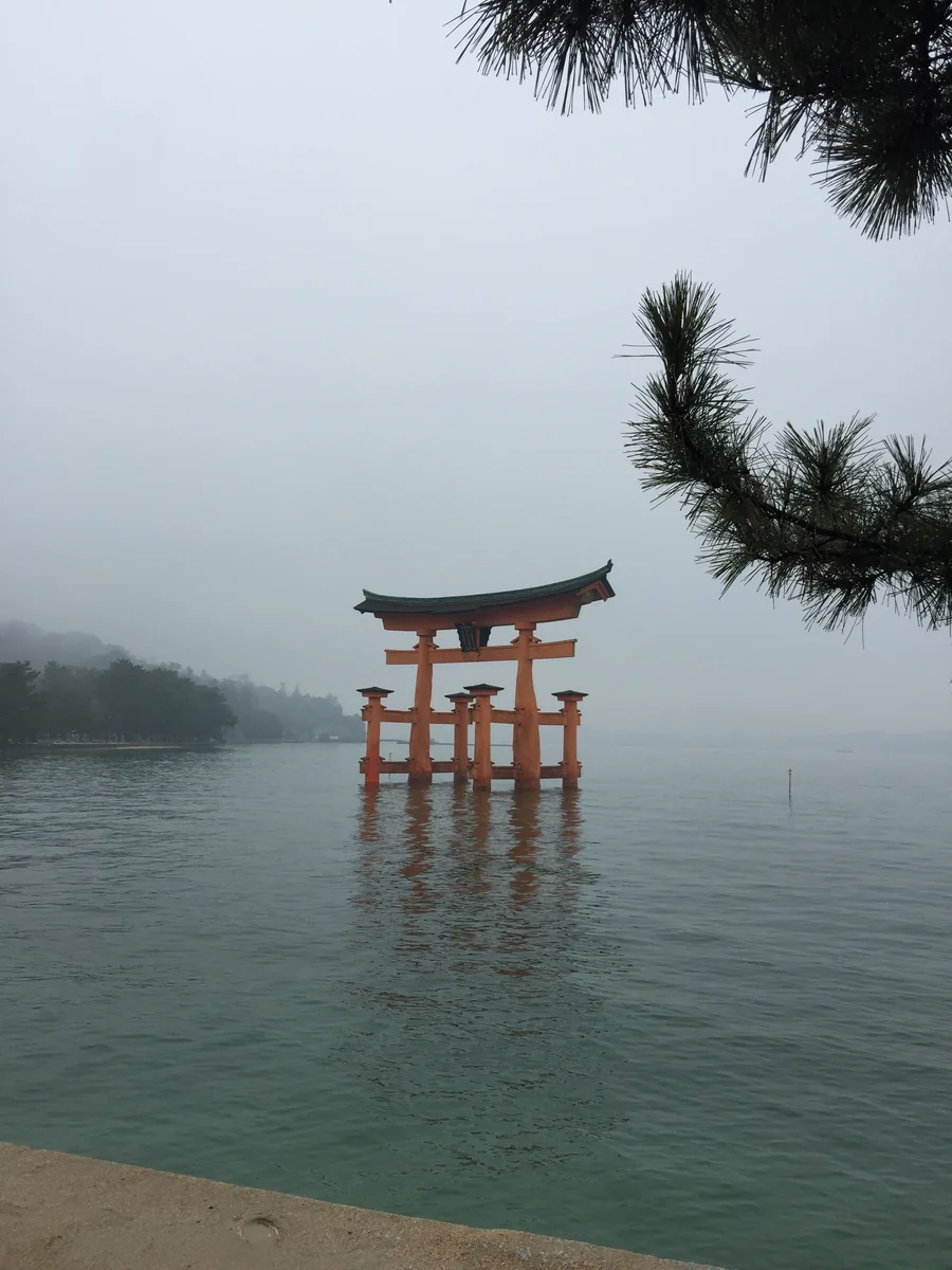 投稿写真：霧の厳島神社神社の鳥居