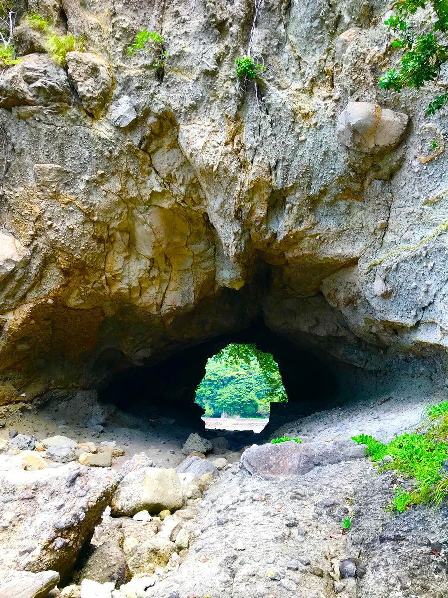 投稿写真：進撃の巨人